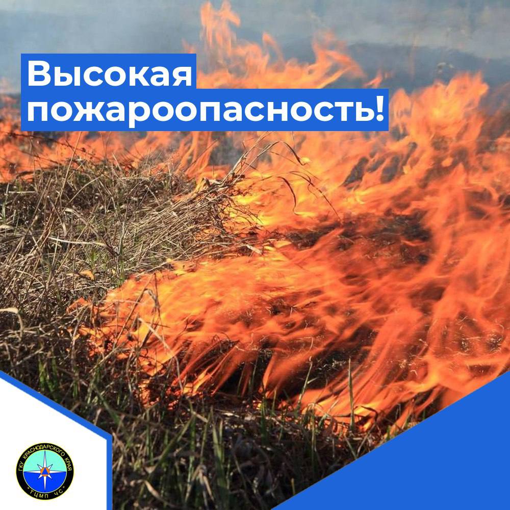 По данным Росгидромета до конца суток 09.09.2024, а также в течение суток 10.09.2024 в Ейском и Щербиновском районах ожидается чрезвычайная пожароопасность  ЧПО  5 класса  ОЯ .   Местами в северо-западных, северо-восточных, юго-западных районах края и местами на Черноморском побережье  исключая муниципальное образование г.Сочи – зона прогнозирования ФГБУ «СЦГМС ЧАМ»  ожидается высокая пожароопасность  ВПО  4 класса  НЯ .