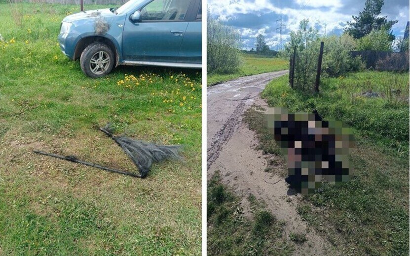 Погиб от удара током В 14:00 в экстренную службу 112 поступило сообщение о находке обгоревшего тела в одной из деревень Воткинского района. Об этом сообщил председатель Госкомитета Удмуртии по ГО и ЧС Андрей Шуткин. Прибывшие на место происшествия спасатели обнаружили тело мужчины, рядом – сгоревшая удочка и легковой автомобиль с поврежденным лакокрасочным покрытием, свидетельствующим о воздействии высокой температуры. По предварительной информации, трагедия произошла во время рыбалки: мужчина, по всей видимости, случайно задел удочкой линию электропередачи. Напряжение ЛЭП в этом месте составляло 110 тысяч вольт. Считается, что это и стало причиной его гибели. Следственное управление СК России по Удмуртской Республике начало проверку по факту инцидента. Устанавливаются все обстоятельства происшествия. Фото: #Ижевск #Удмуртия