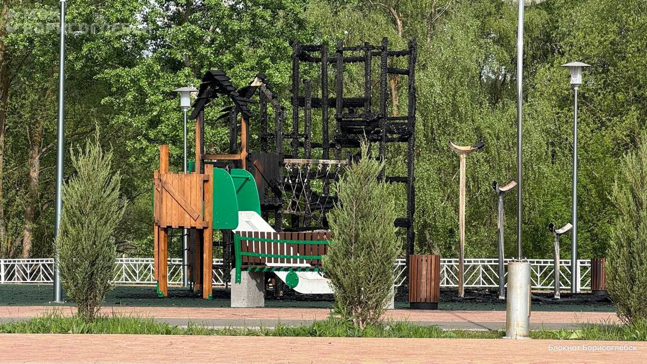 Последствия пожара на детской площадке в Борисоглебске Подписаться Типичный Воронеж
