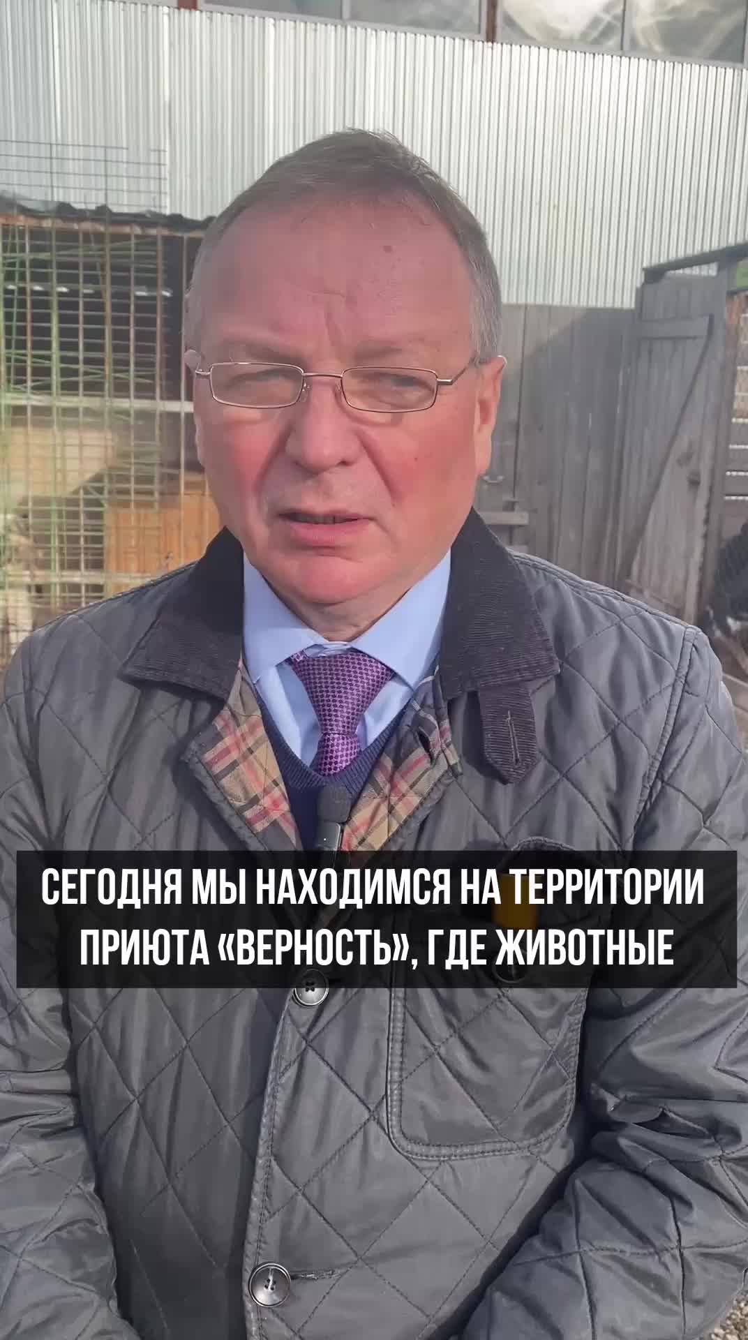 Власти ХМАО предлагают выпускать бездомных животных для решения проблемы переполненности приютов