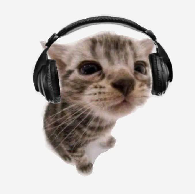 Это может дайджест или это баобаб В Казанском Кремле установили стереоскоп он показывает как выглядела улица более 100 лет назад Крематорий в Казани собираются открыть в начале 2029 года Казанская группа Стать твоим котом выпустила трек Плачешь Киноклуб Фокус покажет фильм Битва за битвой В Казани организуют однодневную медиасессию о креативе и брендинге Философский кружок Arete запускает цикл лекций об эволюции представлений человека о себе и мире В Ichi by Relab открывается филиал московского бара Chainaya Tea Cocktails Смена объявила программу Зимнего книжного фестиваля В отеле Dion INN пройдет дегустация вин с сомелье Павлом Швецом Институт развития Казани объявил онлайн голосование за лучшие архитектурные и градостроительные решения города Лаборатория Антихрупкость открыла предзаказ на коллекцию посуды созданную с казанской художницей Алисой Гулканян