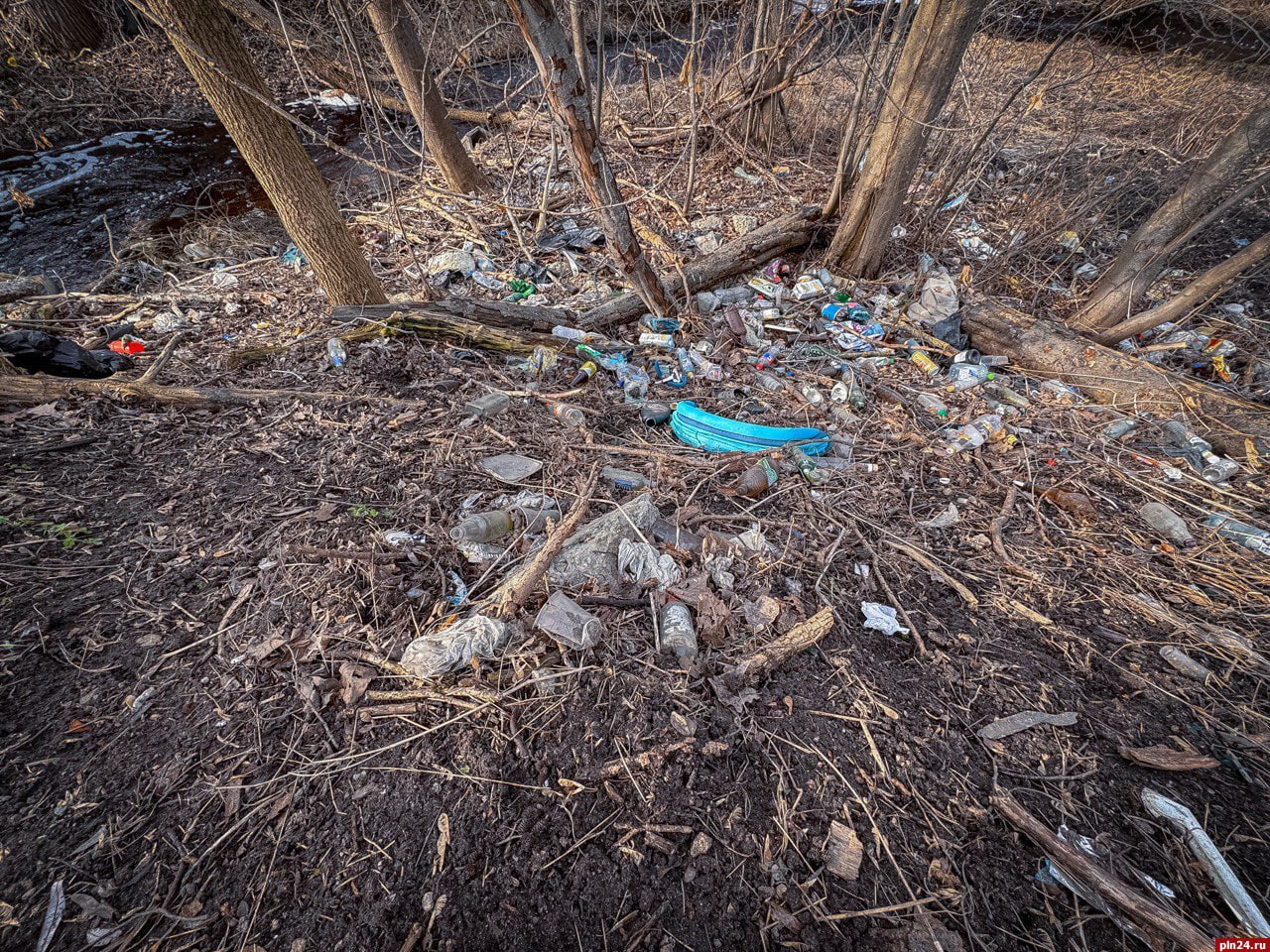 Стихийная свалка показалась из-под снега на улице Вокзальной в Пскове  «Ужасная помойка устроена на остановке, туда всю зиму мусор скидывали, по всей видимости», - отметил пскович.  Автобусная остановка располагается вблизи перекрестка с круговым движением на улице Вокзальной.