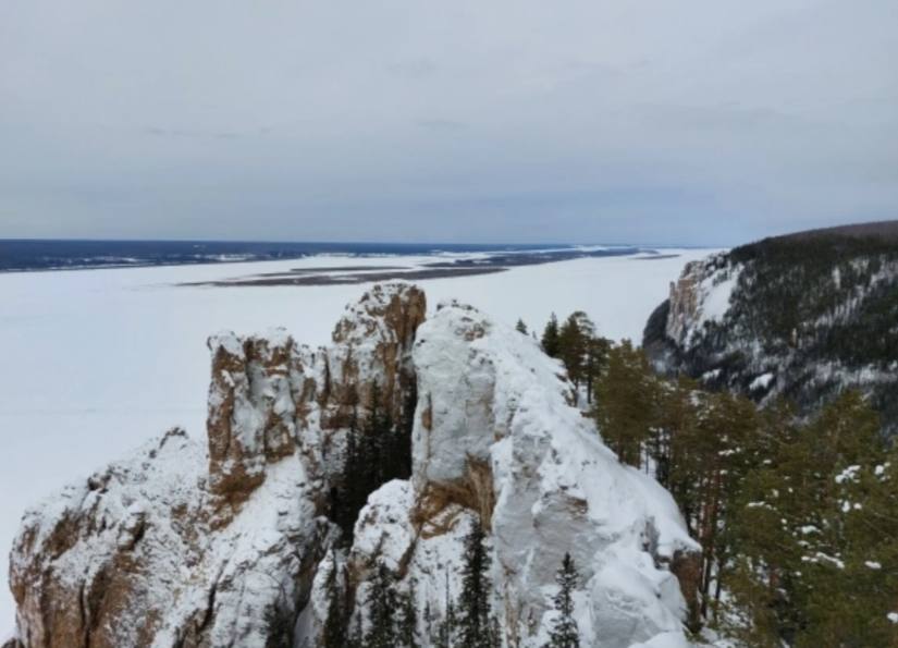 Ленские столбы получили 7 6 млн на защиту медведей и редких растений Национальный парк Ленские столбы стал победителем конкурса Президентского фонда культурных инициатив ПФКИ два его проекта получат грантовую поддержку на общую сумму более 7 6 млн рублей Реализация начнётся 1 марта 2026 года Финансирование выделено в рамках решения Координационного комитета объявленного 11 февраля на фестивале Первозданная Россия Первый проект Сохранение популяции бурого медведя и профилактика конфликтов с человеком получит 4 46 млн рублей Специалисты проведут авиаучёт медведей с дронами на площади свыше 200 км² включая зоны у 12 кордонов и популярные туристические места устье реки Буотама Тукулан Кысыл Элэсин и Лабыдьа Летом 2026 года установят около 10 км электрических ограждений на солнечных батареях с предупреждающими табличками чтобы отгонять животных от мест отдыха людей Второй проект Изучение и сохранение ареалов редких и исчезающих видов растений получил 3 2 млн рублей Учёные студенты СВФУ и школьники совершат пять экспедиций по ботанически ценным участкам парка Каждое редкое растение зафиксируют на фото и привяжут к GPS координатам Данные внесут в геоинформационную систему ГИС Также воспитанники Кванториума Якутск создадут мобильное приложение определитель для туристов а для госинспекторов выпустят карманный определитель растений Читать подробнее на сайте   YakutiaMedia Новости Якутии