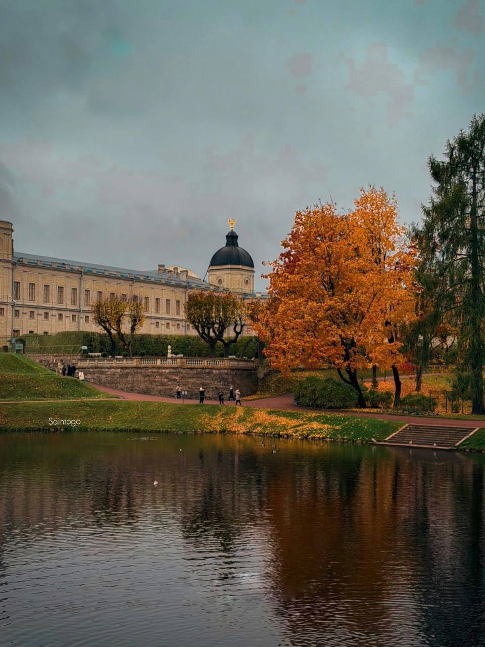 С 1 ноября Дворцовый парк Гатчины стал бесплатным для посещения Гулять можно с 6 00 до 22 00 выходной понедельник Сейчас там особенно красиво аллеи шуршат золотыми листьями а виды у дворца как с открытки Подписывайтесь на наш канал в МАХ agregiruem