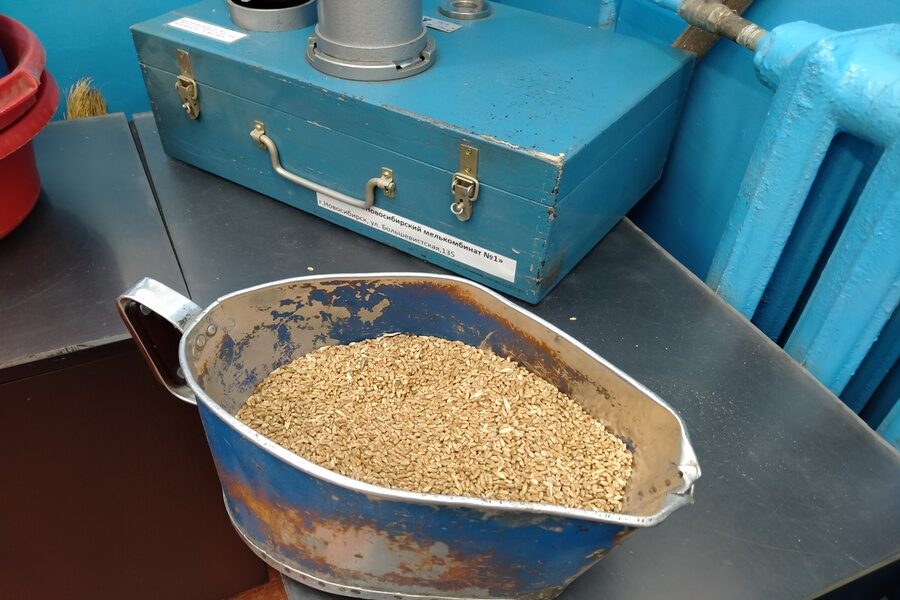 Главным итогом года для новосибирских аграриев может стать рост закредитованности Согласно официальным данным сельское хозяйство Новосибирской области завершает 2025 год с рекордными показателями Валовой сбор зерновых и зернобобовых в регионе вырос на 35 по сравнению с прошлым годом Однако несмотря на эти цифры аграрии региона говорят о том что подошли к концу года не с ожидаемой прибылью а с возросшей долговой нагрузкой Снижение закупочных цен на зерно потери части урожая из за аномальных снегопадов и сложная ситуация в животноводстве создают угрозу финансовой устойчивости для многих хозяйств Infopro54 подвел итоги года вместе с аграриями Подробнее читайте по ссылке     INFOPRO54 Фото Infopro54