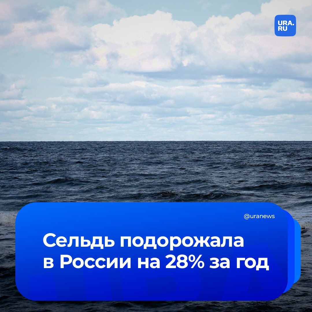 Самая популярная рыба в России подорожала почти на 30 за год Средняя потребительская стоимость сельди к сентябрю составила 375 рублей за килограмм Но при этом оптовые цены на эту рыбу падают Средняя цена атлантической сельди в центре России составила 185 рублей за килограмм Розничная стоимость сельди и других видов рыб на полке растет из за роста издержек на логистику хранение и переработку сообщили Известия Подписаться на URA RU мы в MAX