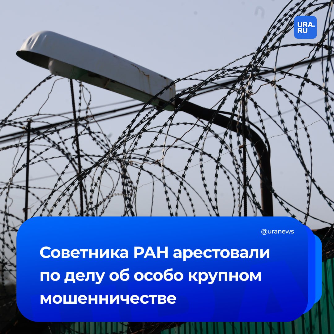 Советника РАН Василия Соловьева арестовали по делу об особо крупном мошенничестве. Суд отправил его в СИЗО до 6 февраля следующего года.   Соловьев — советник вице-президента академии Юрия Балеги.