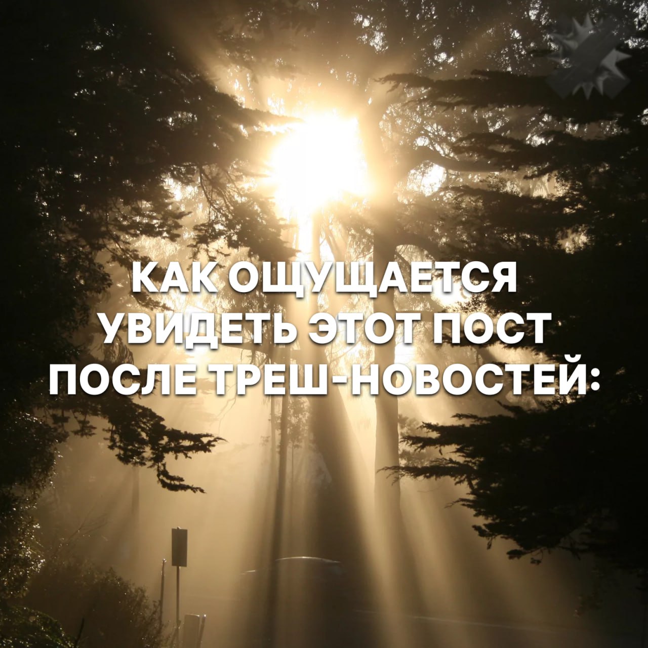 Учёные почти победили диабет первого типа Новая терапия VX 880 заставляет организм снова вырабатывать инсулин и работает она в большинстве случаев У 10 из 12 пациентов после процедуры пропала необходимость в инъекциях препарата   вот это прорыв лишь бы было доступно для всех НМШ