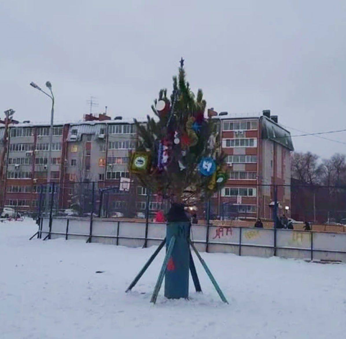 В Омске установили самую красивую ёлку на площади Праздников.  По словам омичей, это скорее какой-то «пробник елки». Власти объяснили, что ёлки побольше и наряднее просто не нашли, зато она пушистая.