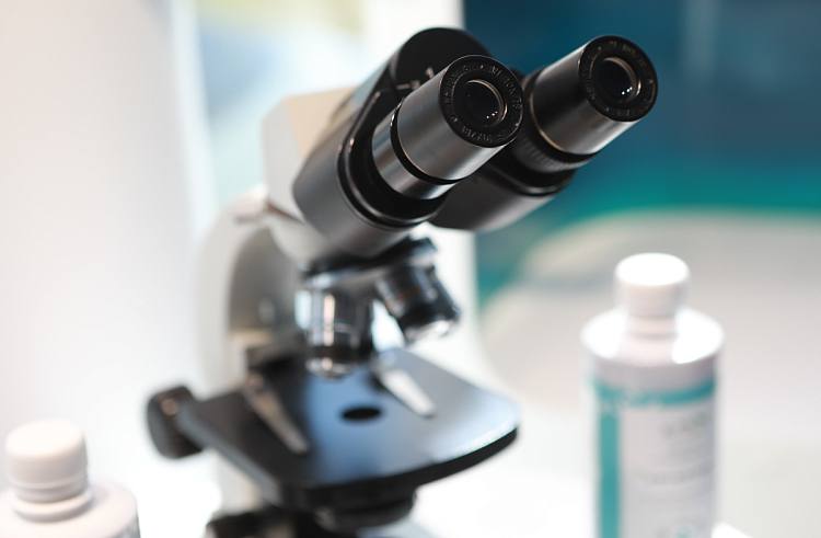 Учёные Приморья приблизили создание новых лекарств для лечения заболеваний нервной системы Исследователи ДВФУ и Национального научного центра морской биологии ДВО РАН разработали биологически активные соединения на основе рыбьего жира В перспективе они могут лечь в основу препаратов для терапии заболеваний центральной нервной системы включая болезнь Паркинсона Учёные изучили влияние производных омега 3 жирных кислот на астроциты и микроглию клетки отвечающие за поддержку нейронов Нарушение их работы связано с нейровоспалением и нейродегенеративными заболеваниями Исследования проводились на клеточных и животных моделях в том числе с моделированием болезни Паркинсона и черепно мозговой травмы Это позволило оценить эффективность соединений их молекулярное действие и способность проникать в ткани мозга Работа открывает возможности для создания нового поколения нейропротекторных и противовоспалительных препаратов на основе морского сырья primorsky krai