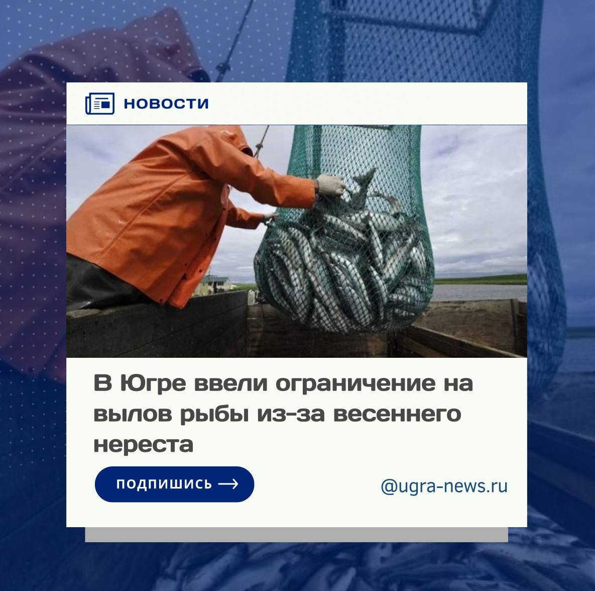 В Югре ввели ограничение на вылов рыбы из-за весеннего нереста! В Югре ввели ограничение на вылов рыбы в реках Обь и Иртыш с их притоками до 31 мая, а в реке Конда и в Кондинском соре — до 30 июня. Причина тому — весенний нерест. Об этом сообщает пресс-служба Нижнеобского территориального управления Росрыболовства. Специалисты отмечают, что в данный период рейдовые группы будут работать круглосуточно.