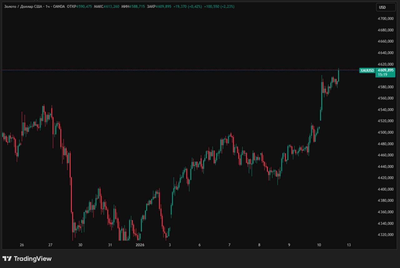 ЗОЛОТО ОБНОВИЛО НОВЫЙ МАКСИМУМ Сегодня на торгах золото превысило 4600 долларов за тройскую унцию Очередной исторический рекорд Как думаете увидим в этом году 5000 да нет Kondrashovinvest l Подписаться