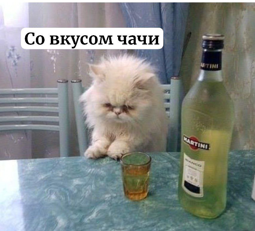 Дагестанский Martini В России начнут производство вермутов Martini на мощностях винодельни компании Алвиса в Дагестане Это станет вторым крупным производством вермутов Martini за пределами Италии с момента появления напитков в 1863 году Новый производственный комплекс завершают строить на Сhateau Alvisa в Дербенте где с весны 2026 года запустят производство полного цикла вермутов Martini Bianco и Martini Fiero Инвестиции в проект составят более 2 млрд рублей это будут собственные средства компании Алвиса В 2000 х годах вермуты в России переживали пик популярности любые вермуты в народе стали называть мартини в честь самого популярного бренда вермутов из Италии который теперь будут производить в России
