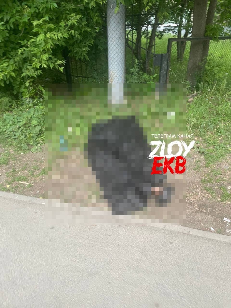 В Екатеринбурге около школы нашли труп. Всё произошло возле школы №27 на Уралмаше. Тело мужчины нашли под столбом, и оно было присыпано листьями. Очевидцы тут же вызвали скорую, которая констатировала смерть. Причина смерти станет известна после экспертизы. Подписаться Новости Екатеринбурга