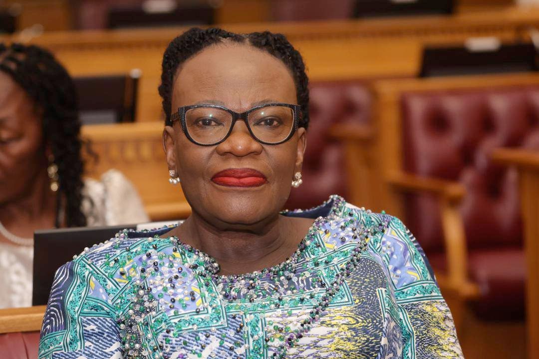 Намибия хочет начать поставки своих товаров на российский рынок глава МИД Мы хотим получить доступ на российский рынок для большего ассортимента товаров У нас есть не только мясо У нас также есть мясные продукты наши колбасы У нас есть зерновые культуры У нас есть финики У нас есть виноград У нас есть другие фрукты а также например спаржа которую мы можем продавать у нас есть устрицы Министр иностранных дел Намибии Ашипала Мусавьи также сообщила что Намибия очень активно работает над началом поставок в Россию в ближайшее время Африканская инициатива Telegram ВК Max