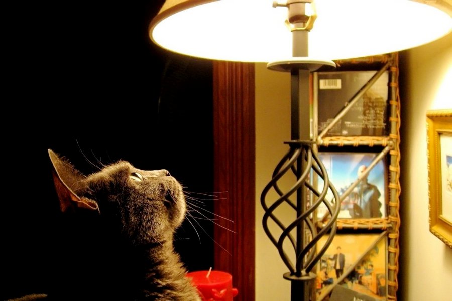 Узнали где в Гомеле временно отключат электричество 12 января Информация Гомельэнерго о плановом отключении электроэнергии на 12 января Подпишитесь на Гомельские ведомости