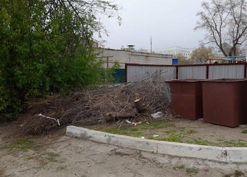 Региональный оператор по обращению с твердыми коммунальными отходами «Полигон» предупредил амурчан о скором запрете, связанном с выбросом мусора. Нельзя будет оставлять ветви деревьев на контейнерных площадках. «С 01 сентября 2025 года в соответствии с подпунктом «в» пункта 36 постановления правительства РФ от 07.03.2025 года номер 293 отходы, образовавшиеся при уходе за древесно-кустарниковыми посадками, будет запрещено складировать в местах площадках накопления твердых коммунальных отходов», — предупредил региональный оператор. Уточняется, что эти отходы подлежат самостоятельному сбору и транспортированию на полигон. Лица, складирующие ветви деревьев на контейнерных площадках, будут привлечены к административной ответственности по статье 8.2 КоАП.