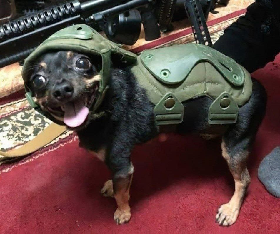 Министр обороны Эстонии Ханно Певкур Эстония не боится пошлин Дональда Трампа Несмотря на угрозы президента США мы готовы направить на учения в Гренландию офицерА связи Мировые новости превратились в анекдоты от Евгения Вагановича Подпишись RogandarNEWs мы в MAX