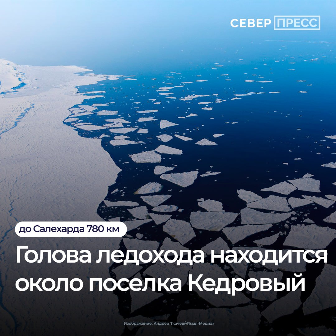 Ледоход на Оби в ЯНАО в этом сезоне ожидается 13 мая в районе Мужей и 24 мая в районе Салехарда. Его скорость неравномерна: на участке от Мужей до Питляра она может достигать 50 километров в сутки. 1 мая ледоход на реке Обь в Югре показал значительную активность, продвинувшись за сутки на 62 км. Его протяженность 22 км, хвост наблюдают чуть выше поселка Елизарово. Одна голова ледохода находится в районе поселка Кедровый, вторая — близ поселка Тополевка Александровского района. До границы с Ямалом остается 510 км. Новости Ямала Поддержать нас бустом
