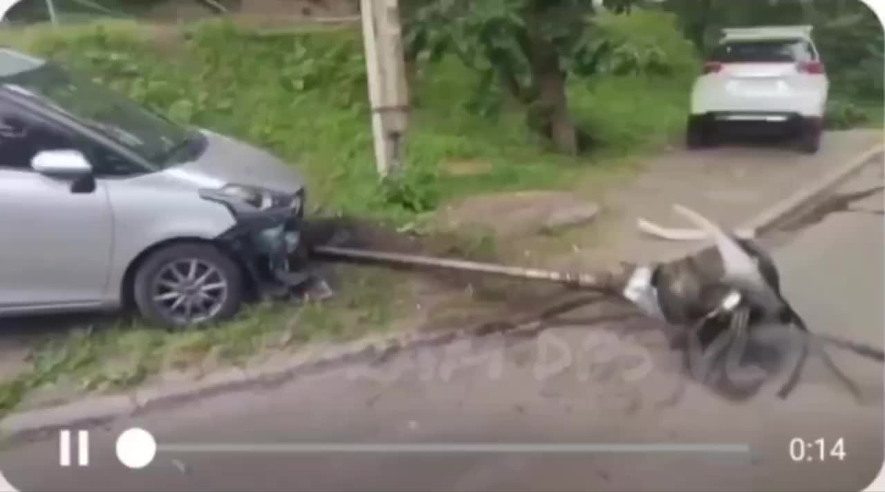 Во Владивостоке буровая установка повредила автомобиль во время работ