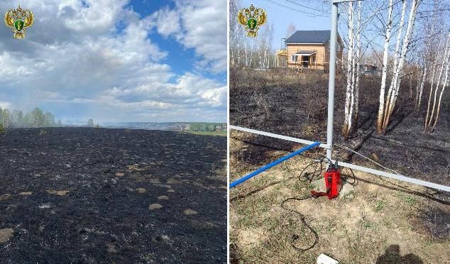 В Челябинске с виновника лесного пожара взыскали более 600 тысяч рублей В этом году поймали уже четверых предполагаемых поджигателей лесов.