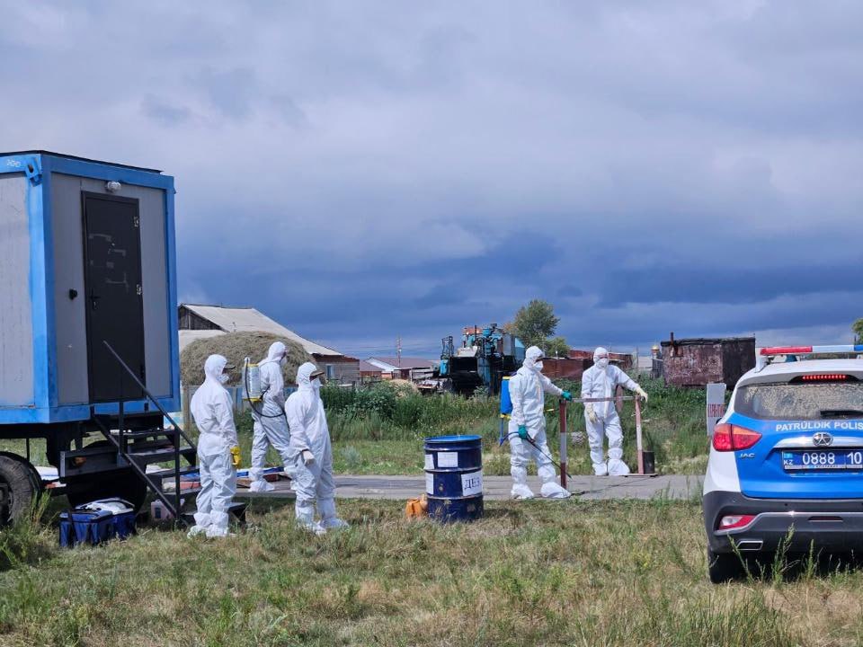 Казахстан усиливает защиту от особо опасных болезней животных В Костанайской области прошли симуляционные учения по реагированию на возможные вспышки африканской и классической чумы свиней. Мероприятие проведено в рамках соглашения между Правительством Казахстана и Всемирной организацией здоровья животных. Главная цель — проверить готовность ветеринарных служб к быстрой диагностике, локализации и устранению очагов особо опасных заболеваний. Отдельно отрабатывались координация между ведомствами и соблюдение международных требований биобезопасности, включая рекомендации ВОЗЖ. Практическая часть учения прошла в селе Обаган Алтынсаринского района. В ней участвовали специалисты территориальных инспекций Комитета ветеринарного контроля и надзора, областного управления ветеринарии, республиканской лаборатории, противоэпизоотического отряда и представители местных исполнительных органов. По итогам учений было отмечено, что региональные службы располагают всем необходимым — от технического оснащения до слаженного взаимодействия между структурами — для быстрой и эффективной реакции на возможные эпизоотии. Учения проводятся как нельзя кстати, учитывая масштабную экологическую катастрофу, охватившую территорию Казахстана. Очевидно, что их организация продумана не случайно. Это, безусловно, позитивный шаг, но гораздо важнее принимать реальные меры для устранения последствий деятельности людей, которые заботятся лишь о личной наживе, игнорируя сохранение природы. #Казахстан