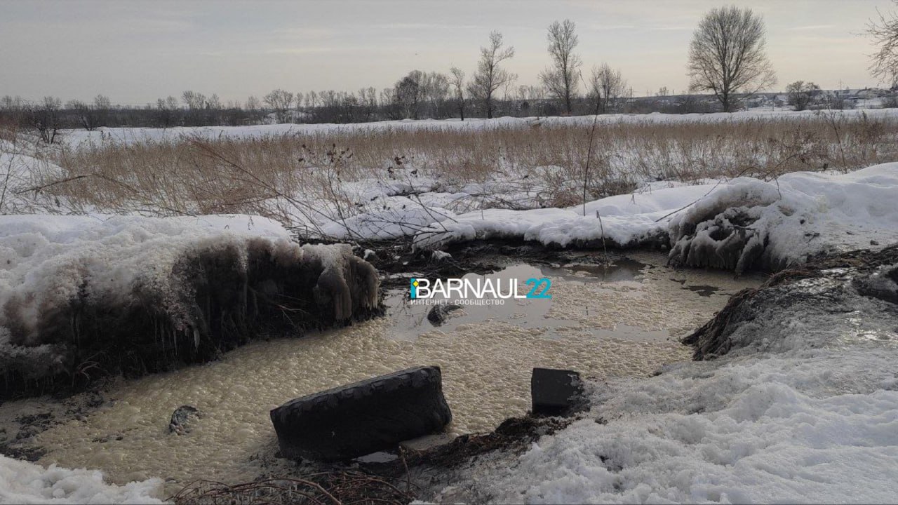 Жители поселка Октябрьского рассказали о сливе канализации за их домами  Об этом рассказал местный житель в группе Barnaul 22. По словам мужчины, отходы сливают прямо в поле, рядом с дорогой и жилыми домами. Машины приезжают каждый день, иногда по несколько автомобилей каждые 10 минут.  Участник сообщества отметил, что местные жители уже писали обращение в Росприроднадзор. Ведомство передало информацию в администрацию района, но ситуация пока не изменилась.    ТОЛК