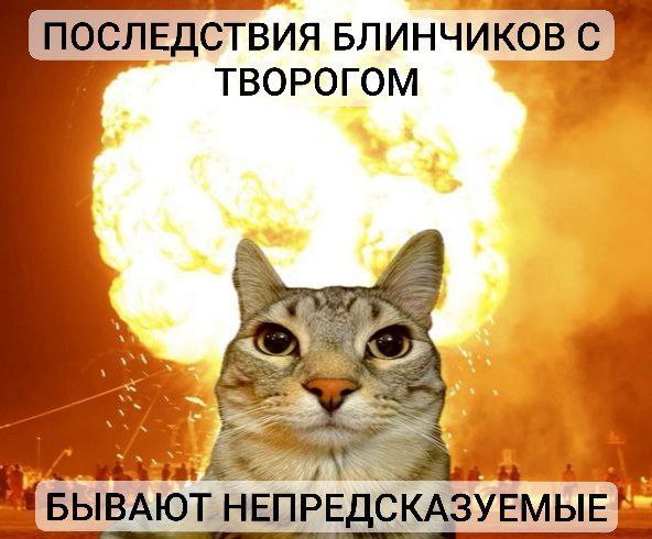 Масленичная неделя в самом разгаре заведения Нижнего Тагила подготовили необычные блинчики к празднику Собрали для вас вкусную подборку В кафе Klever Coffee Карла Маркса 44 предлагают попробовать блины с бенедиктом и с лососем креветкой или мортаделлой блинчики с пряным яблоком и страчателлой а также с кремом на вареной сгущенке и маком В МВ можно попробовать блины с лесными грибами творогом и соусом из халвы блинчики с сырным кремом и икрой а также мясные с яйцом и со сгущенкой и свежими ягодами В заведении Блинная Дзержинского 63 подают праздничное блюдо с морепродуктами креветки кальмары форель блины с ананасом и острым соусом с говядиной с яблоком и брусникой а также с творогом и облепихой вместе с джемом из апельсинов В кофейне Буркинист Ленина 42 предлагают блины с лососем и соусом голландез и блины с каймаком и гречишным медом Подписаться   Дать буст