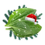 лидер мнений среди удобрений