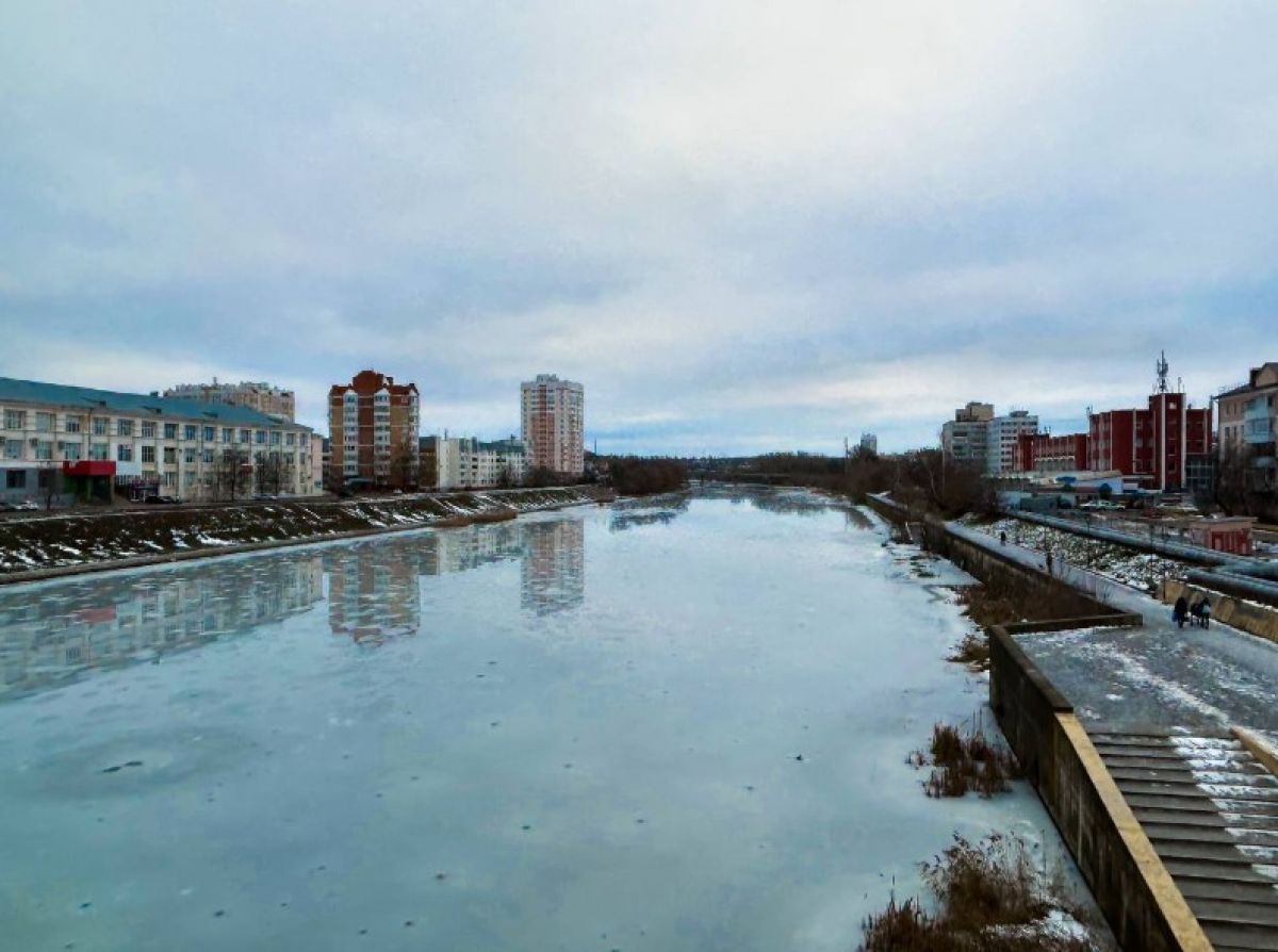 Суровая орловская зима отпугнула уток и лебедей   newsorel ru fn 1792968 html Зимующие водоплавающие птицы массово покинули регион из за холодного января Орнитологи зафиксировали резкое сокращение популяции крякв и полное исчезновение лебедей шипунов Подробности в материале   Прислать новость Подписаться   Мы в MAX