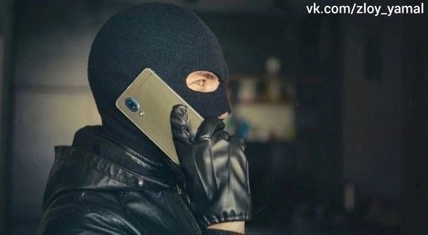 Мошенники выманили у населения Ямала более 147 млн рублей с начала года При этом жертвами становятся в основном работники различных организаций. С начала 2025 года из 225 жителей округа, пострадавших от действий телефонных мошенников, именно работающие граждане передавали деньги преступникам. Также из общего числа пострадавших – 35 пенсионеров, девять несовершеннолетних. #Ямал #Мошенники #ЖителиЯмала #Деньги
