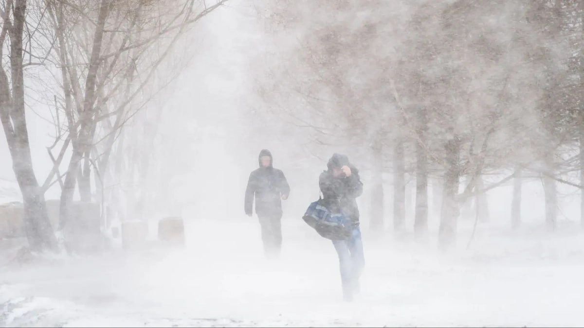 Бушевавший всю ночь шторм Ханнес нанес в Финляндии самые значительные повреждения электросети за последние 10 лет сообщил в воскресенье представитель электросетевой компании Elenia Хейкки Паананен По его данным на 8 30 без электричества оставались около 130 тыс домохозяйств ночью их было 180 тыс На ликвидацию последствий понадобится несколько дней geonrgru YouTube sponsr ru