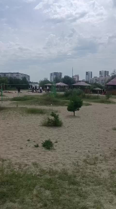 Спецоперация на пляже в Новосибирске: задержаны 28 человек во время волейбольного турнира