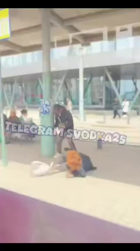 Инцидент с китайским туристом и нетрезвой женщиной во Владивостоке
