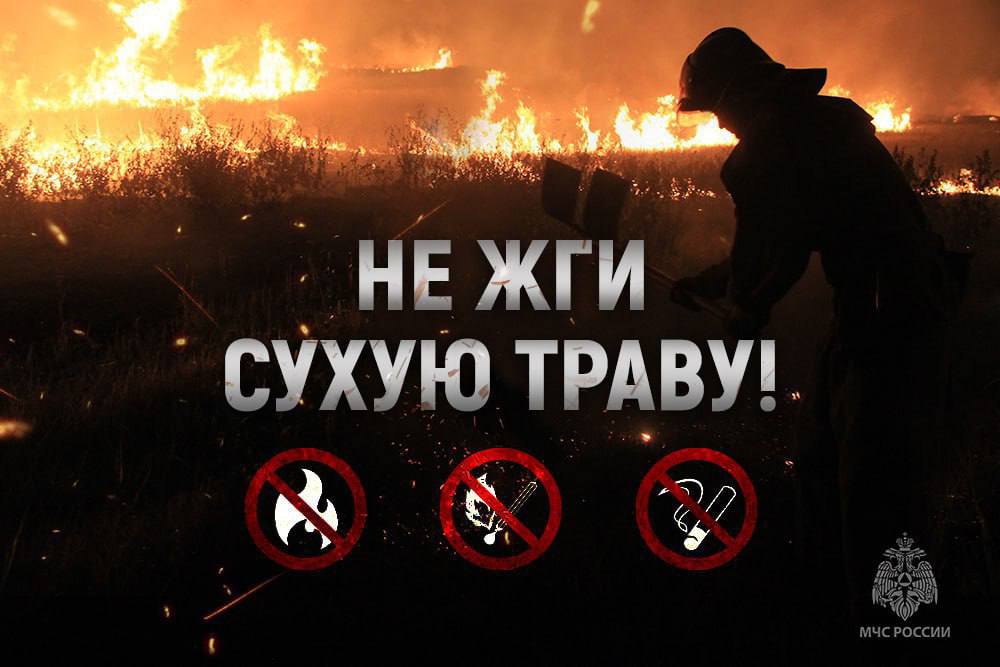 46 ПОЖАРОВ ПРОИЗОШЛО В ЭКОСИСТЕМЕ РЕСПУБЛИКИ ЗА МИНУВШИЕ СУТКИ Общая площадь уничтоженного сухостоя — больше 30 гектаров. Сегодня в ДНР порывы ветра до 20 метров в секунду ЗНАЙ! Виновники пожаров будут нести административную ответственность. Штрафы для юридических лиц составят от 300 тыс. до 800 тыс. рублей, для физических лиц – от 5 тыс. до 50 тыс. рублей. МЧС России предостерегает: не сжигай сухую траву; не бросай горящие спички и окурки; не разводи костры в лесу и вблизи природных массивов. Безопасность начинается с тебя! МЧС ДНР МЧС России