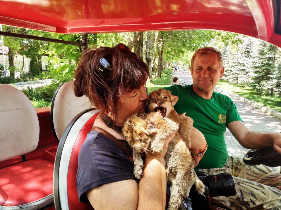 Татьяна Алексагина и Алексей Данилов удостоены медалей за спасение Зубкова от льва ⁠ Пятница, 15 августа. «Крым 24».Пресс-секретарь «Тайгана» Татьяна Алексагина и турист Алексей Данилов, которые спасли директора сафари-парка Олега Зубкова от льва, удостоены медалями «За мужество и доблесть». Об этом говорится в указе Главы Крыма Сергея Аксёнова, опубликованном на сайте правительства РК.  Фото: страница Татьяны Алексагиной в соцсети «ВКонтакте» Уточняется, что государственные награды будут вручены за самоотверженность, мужество и отвагу, а также за смелые и решительные действия, совершенные при исполнении служебного долга, и в связи с Днём Государственного флага Российской Федерации.  Нападение произошло 22 июня, когда директор парка находился среди львов в саванне, где свободно перемещаются около двух десятков...  Подробнее>>>