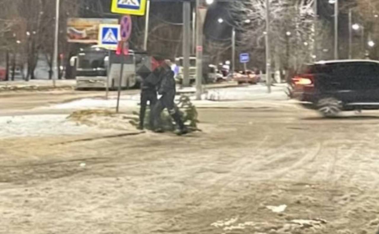 21 декабря около щекинского Ледового дворца двое мужчин срубили елку.  «В Щекино вчера вечером два мужика пришли к ледовому дворцу, демонтировали ель и забрали ее домой», – говорится к подписи под фотографией, на которой двое мужчин действительно несут елку.    Тула. Происшествия  Наш ВКонтакте    Прислать новость: