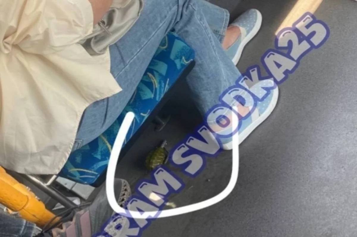 Найденная в автобусе во Владивостоке граната, оказалась страйкбольной Во Владивостоке 31 мая в вечернее время в автобусе на маршруте №23 был обнаружен предмет, по внешним признакам похожий на гранату. Обнаруженным предметом оказалась пластиковая страйкбольная граната, не представляющая опасности. По итогу проверки будет принято решение в соответствии с законодательством ,- прокомментировала пресс-служба УМВД России по Приморскому краю. Подробнее в «АиФ - Приморье»