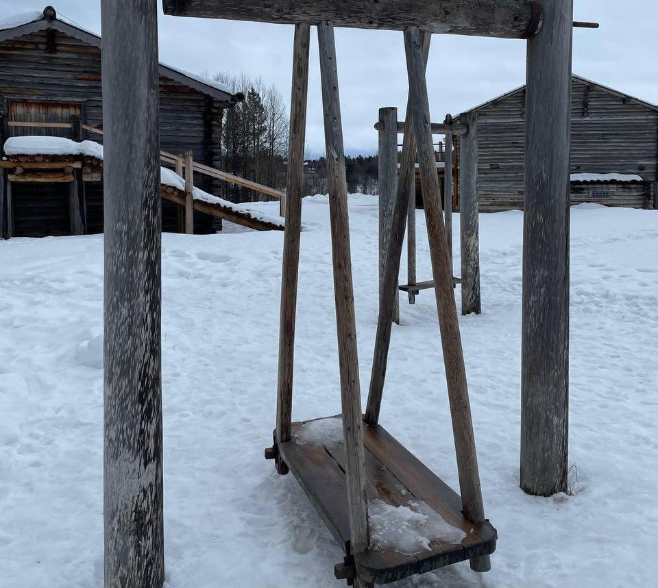 В Архангельске оштрафовали Школу современного образования, чей ученик травмировался, качаясь на качелях  Приморский межрайонный прокурор в судебном порядке защитил права несовершеннолетнего учащегося образовательного учреждения, которым в ходе образовательного процесса получена травма головы и плеча.  Речь, как стало известно редакции ИА «Эхо СЕВЕРА» из собственных источников, идёт о Школе современного образования.  Дело в том, что образовательная организация ненадлежащим образом исполнила обязанность по безопасному пребыванию несовершеннолетнего во время экскурсии на территории музея-заповедника «Малые Корелы». Получение ребёнком травмы при катании на деревянных качелях стало возможным ввиду отсутствия контроля за действиями учащихся со стороны их классного руководителя.  В этой связи Приморский районный суд по иску прокурора обязал образовательное учреждение выплатить в пользу пострадавшего компенсацию морального вреда в сумме 500 тысяч рублей.  Фото пресс-службы областной прокуратуры