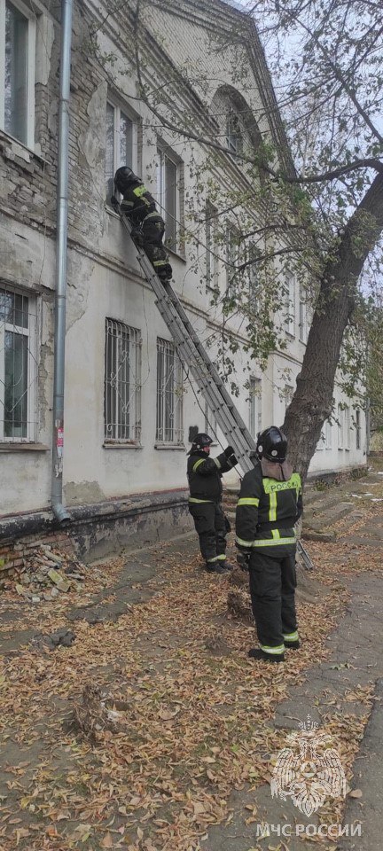 3 летний малыш оказался один в квартире за захлопнутой дверью Сегодня в Барнауле спасатели выезжали на тревожный вызов в доме на улице 40 лет Октября трёхлетний ребёнок остался заперт в квартире Бабушка вышла буквально на минуту в подъезд но дверь захлопнулась А за ней малыш который не может ни позвать на помощь ни открыть дверь Каждая минута в таких ситуациях решающая На место сразу прибыли пожарные которые установили лестницу ко второму этажу проникли в квартиру и в присутствии полиции открыли дверь Мальчик был в порядке Медпомощь не понадобилась только объятия МЧС Алтайского края