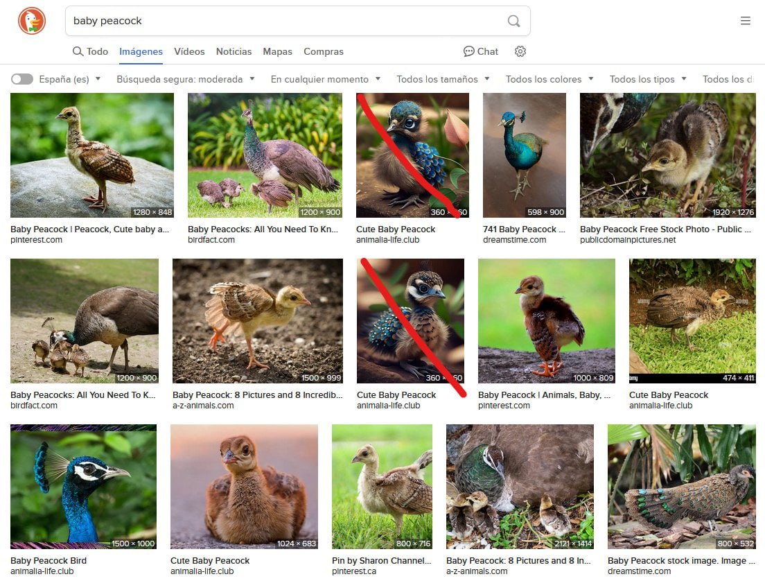 Сгенерированные пикчи заполонили поисковики  Так например, при поиске картинки по запросу «baby peacock»  детёныш павлина  больше половины пикч являются сгенерированными. В DuckDuckGo немного лучше, но надолго ли?  Интернету больше не верим.    Innovation Station   Новости IT