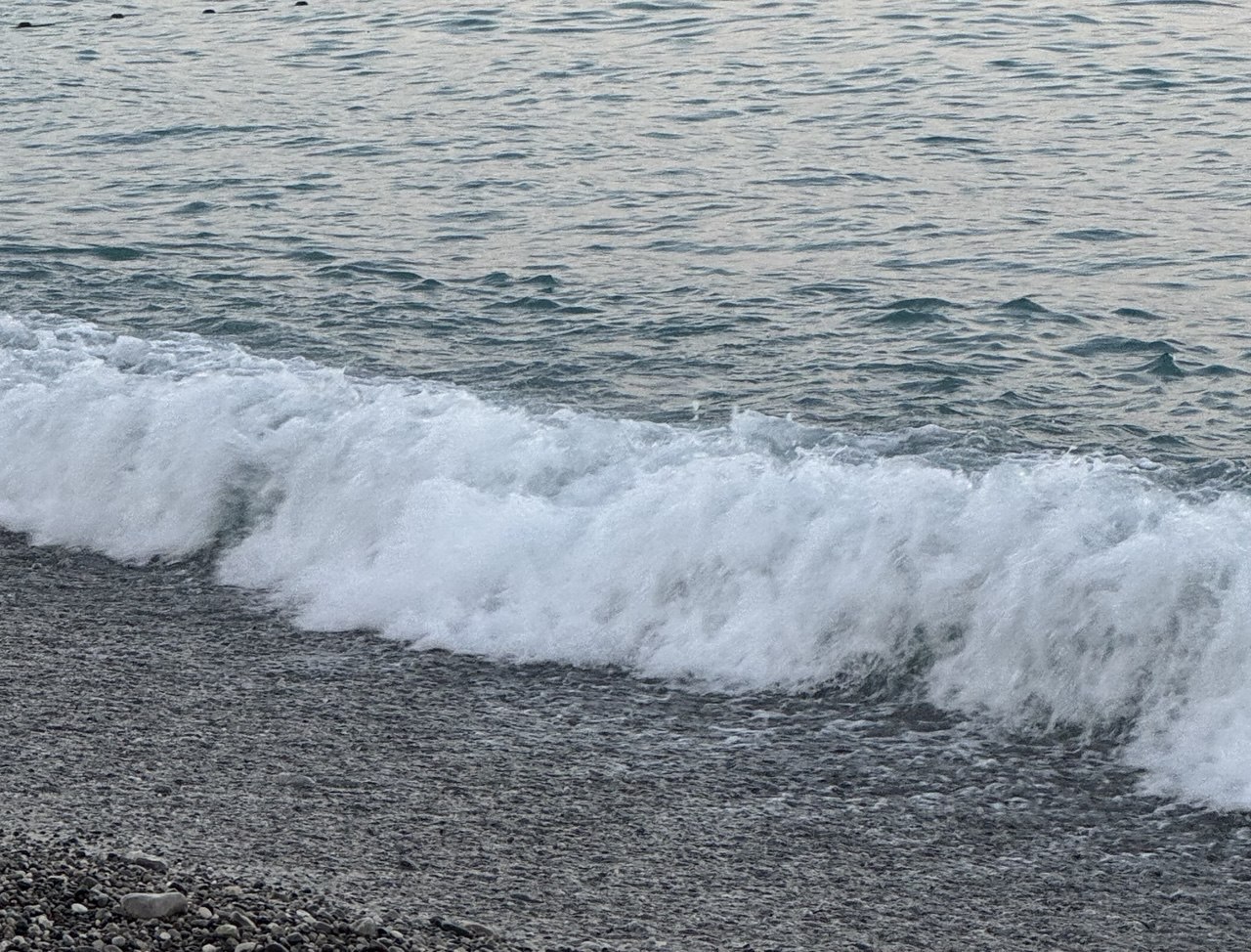 Вода в море от Геленджика до Абхазии соответствует нормам Все наши прогнозы по локализации загрязнения пляжей Анапы и Темрюкского района подтвердились На сегодняшний день в воде Черного моря от Геленджика до границы с Абхазией никаких отклонений от норм нет сообщил Интерфакс со ссылкой на главу федеральной службы Анну Попову Закрытыми остаются 141 пляж Анапы и 9 пляжей на черноморском побережье Темрюкского района