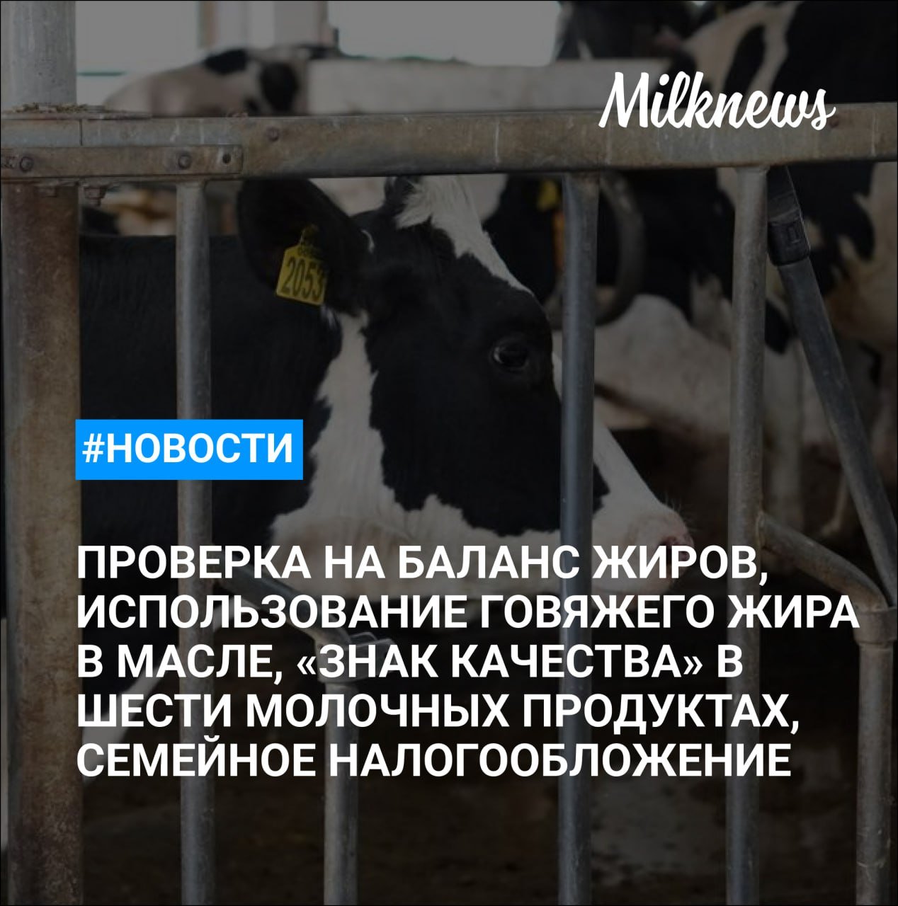 Союзмолоко проверяет баланс жиров на рынке    РСХН: подмосковная «Алтико» использовала говяжий жир в сливочном масле    РСПП предложил индексировать пороги шкалы НДФЛ и ввести семейное налогообложение    Шесть молочных продуктов получили «Знак качества» в январе    РСХН: 13 т небезопасной молочной продукции ввели в оборот в Забайкалье