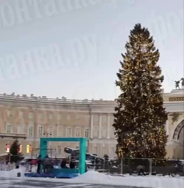 На Дворцовой площади зажглась новогодняя ёлка в тестовом режиме