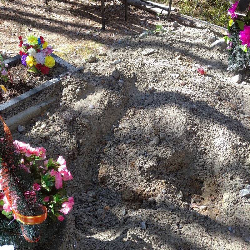 Охотники ищут медведя на кладбище в Стрежевом Позвонила женщина сообщила что на кладбище на Вахской дороге явные следы посещения буйного медведя даже ряд могил поврежден сообщил мэр Стрежевого Он призвал стрежевчан быть осторожнее На место для обследования выехали охотники Позже единая диспетчерская служба Стрежевого сообщила что следы медведя подтверждены Хищник ушел в лес охотники контролируют ситуацию Подписаться на канал   Предложить свою новость