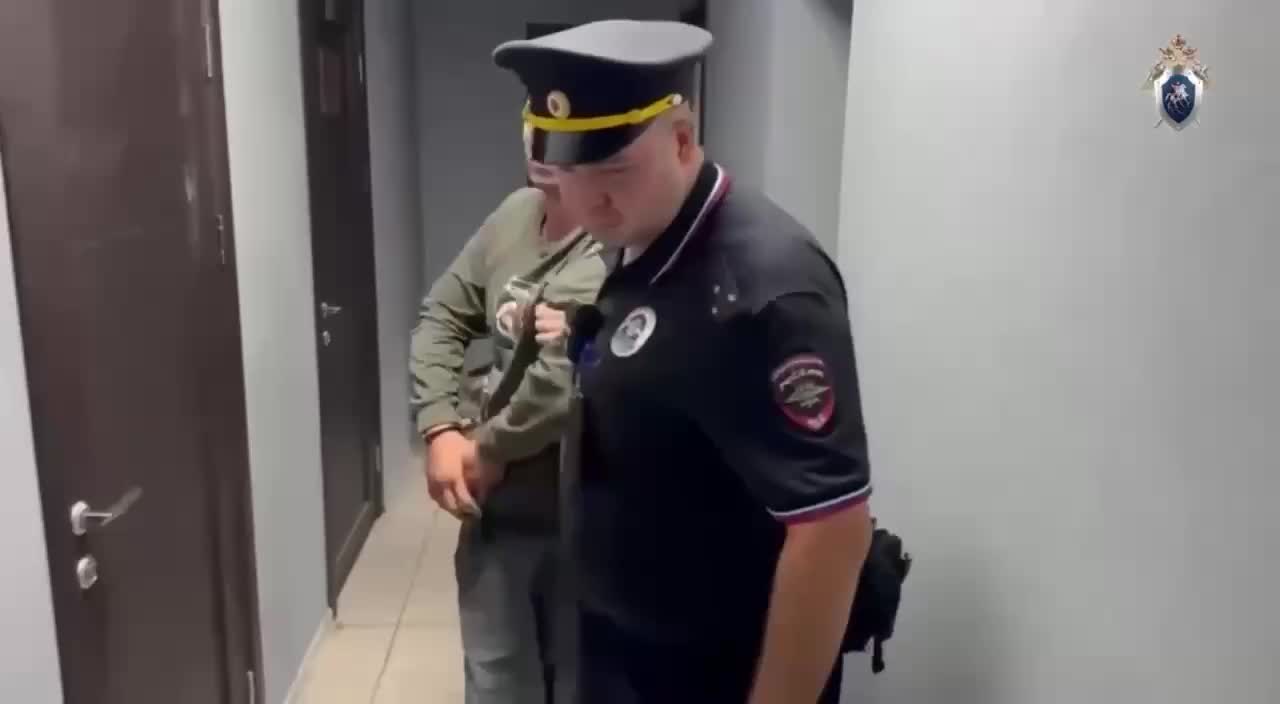 В аэропорту Шереметьево задержан мужчина за нападение на ребенка