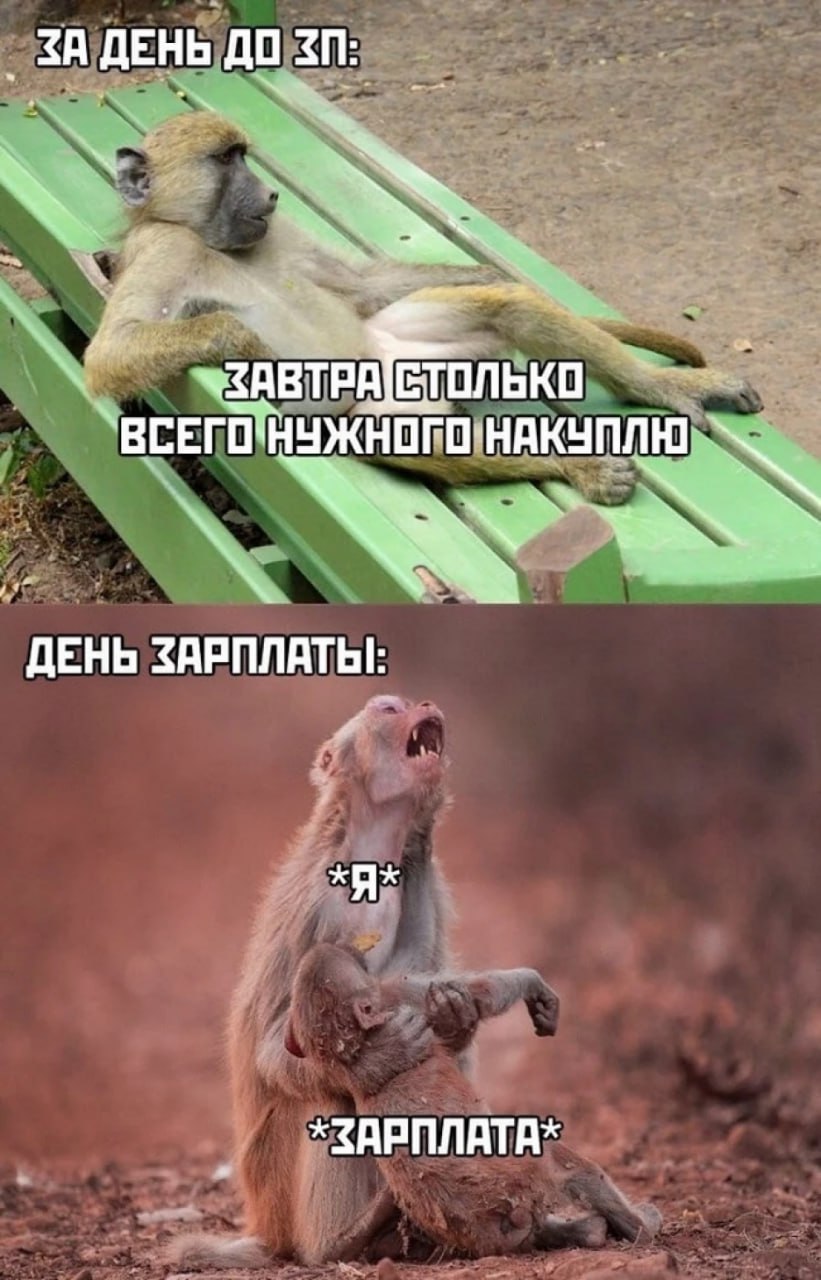 В Омске снизилась средняя зарплата Угадайте кому живется лучше всех Статистика бьет по карману по данным Омскстата средняя зарплата омичей в августе упала до 67 799 рублей Для сравнения в июле она составляла 71 417 рублей Топ 3 денежных отрасли по итогам августа 2025 года Производство кокса и нефтепродуктов 166 087 Ремонт машин и оборудования 117 109 Производство электрооборудования 104 488 Аутсайдерами по зарплатам стали Производство одежды 26 101 Образование 28 787 Кожевенное производство 29 511 Сильнее всего зарплаты выросли в текстильной промышленности А вот госслужащие почувствовали наибольшее снижение доходов Данных за сентябрь пока нет ждем новостей через месяц Ваша зарплата ближе к топу или к аутсайдерам Написать в редакцию можно здесь gorod55ru