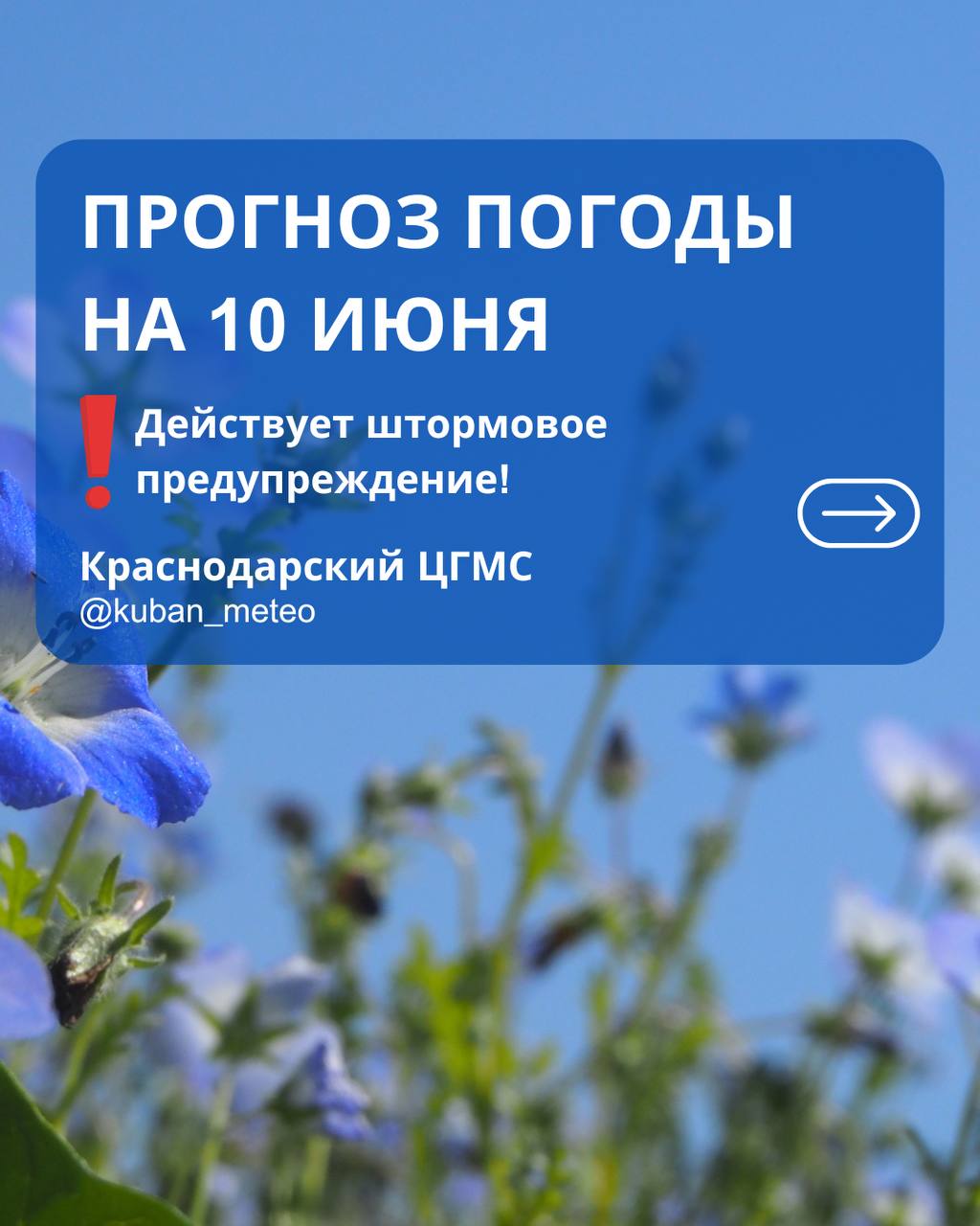 В Краснодарском крае объявлено штормовое предупреждение по сильной жаре! Берегите себя: • избегайте длительного пребывания на солнце • носите головные уборы • пейте достаточно воды • ограничьте физические нагрузки в жаркие часы Также в течение суток 10 ИЮНЯ местами в северо-западных, северо-восточных, юго-западных и центральных районах Краснодарского края включая МО г. Краснодар ожидается высокая пожароопасность ВПО 4 класса НЯ . ГЛАВНЫЕ НОВОСТИ