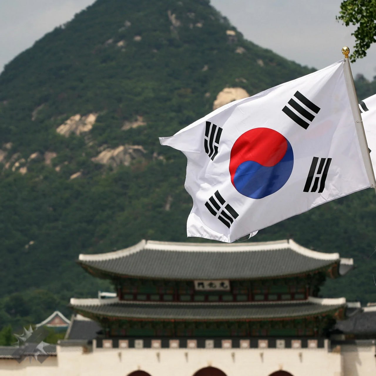 В Южной Корее раскрыли массовый взлом более 120 тысяч камер Полиция задержала четырёх человек которые из за уязвимостей и простых паролей получили доступ к десяткам тысяч IP камер от квартир и караоке до студий пилатеса и кабинетов гинеколога Из записей они делали интимный контент и продавали его в сети Один фигурант вскрыл около 63 тысяч камер другой почти 70 тысяч В итоге именно эта парочка наделала большую часть незаконных материалов это уже за гранью что мешало пароли поменять НМШ