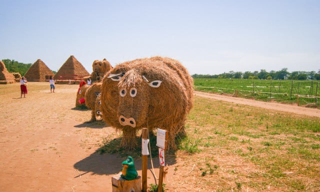 Женщина сломала ногу и потребовала 600 тысяч рублей с парка соломенных фигур на Ставрополье Истец заявила что в августе 2025 года она находилась в парке и упала из за плохо закреплённых верёвок которые служили ступенями лестницы к одному из аттракционов В тот же день женщина обратилась в медицинское учреждение где врачи поставили диагноз закрытый перелом обеих костей правой голени Ей провели операцию Деньги с предприятия сельского туризма пострадавшая потребовала как компенсацию морального вреда а также расходов на лечение Дело рассмотрит Промышленный суд Ставрополя Подписывайтесь на нас во ВКонтакте и в Одноклассниках чтобы быть в курсе самых интересных новостей Кавказа Подписывайтесь на телеграм канал АиФ Северный Кавказ